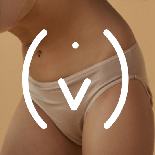 KAKO SE PRAVILNO KORISTE VAGITORIJE?